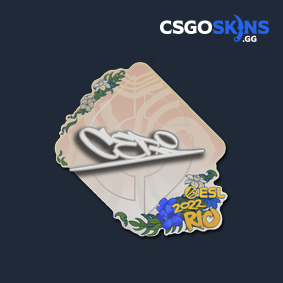 Sticker Cerq Rio Csgoskins Gg