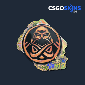 Sticker Ence Holo Rio Csgoskins Gg