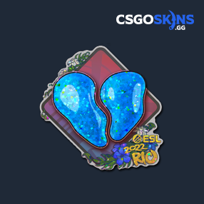 Sticker Nation Glitter Rio Csgoskins Gg