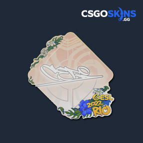 Sticker Cerq Rio Csgoskins Gg