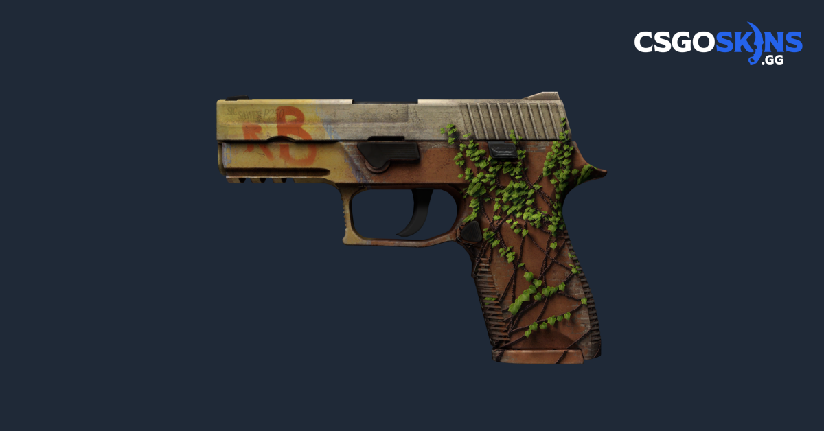 instal the new for ios P250 Exchanger cs go skin