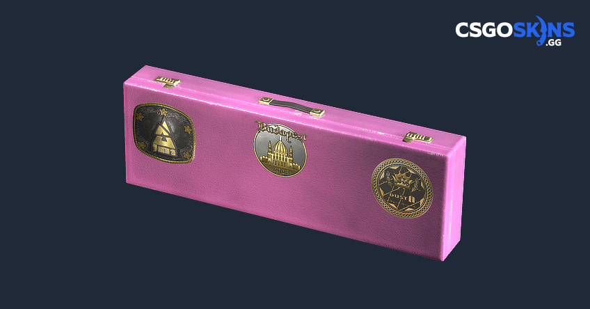 All Budapest 2025 Dust II Souvenir Package Skins - CSGOSKINS.GG