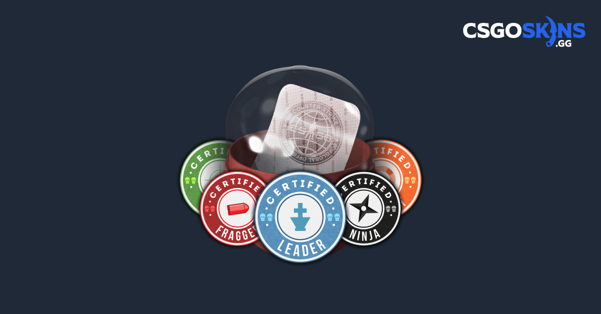 All Team Roles Capsule Stickers - CSGOSKINS.GG