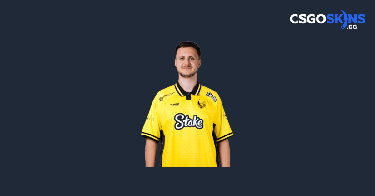 mezii CS2 Inventory - CSGOSKINS.GG
