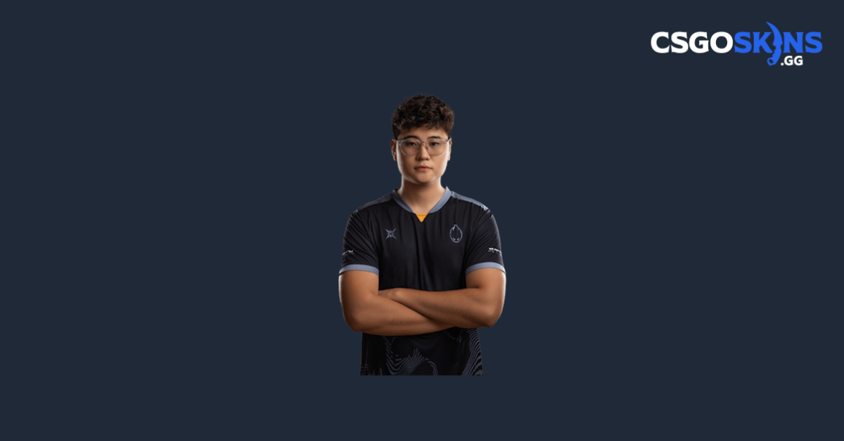 ANNIHILATION CS2 Inventory - CSGOSKINS.GG