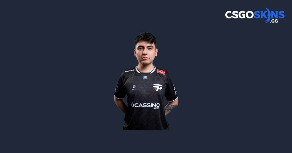 dav1d CS2 Inventory - CSGOSKINS.GG