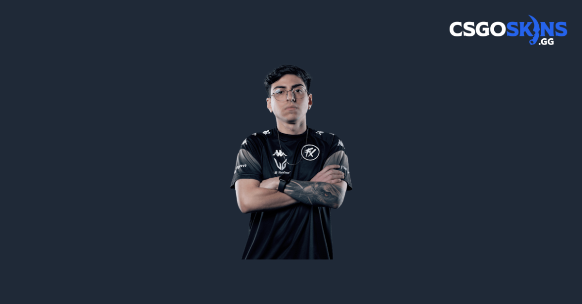 decenty CS2 Inventory - CSGOSKINS.GG