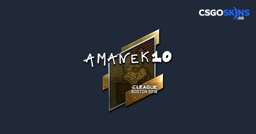 Sticker | AmaNEk (Foil) | Boston 2018 - CSGOSKINS.GG