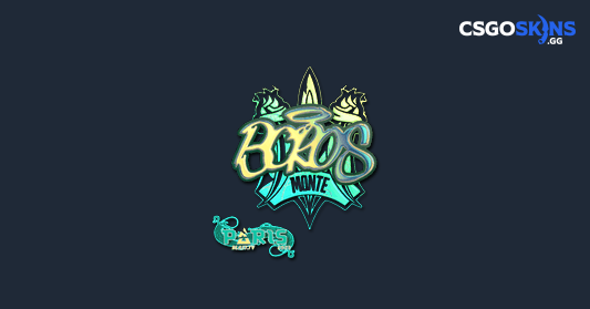 Sticker | BOROS (Holo) | Paris 2023 - CSGOSKINS.GG