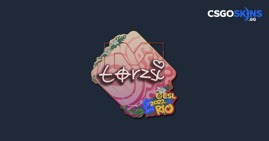 Sticker | torzsi | Rio 2022 - CSGOSKINS.GG