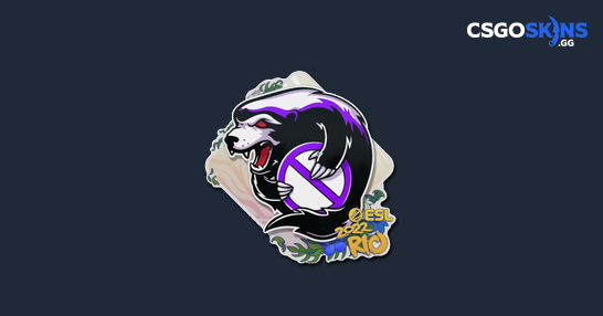 Sticker | Outsiders | Rio 2022 - CSGOSKINS.GG