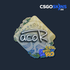 Sticker | acoR | Rio 2022 - CSGOSKINS.GG