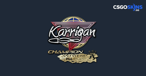 Sticker | karrigan (Champion) | Antwerp 2022 - CSGOSKINS.GG